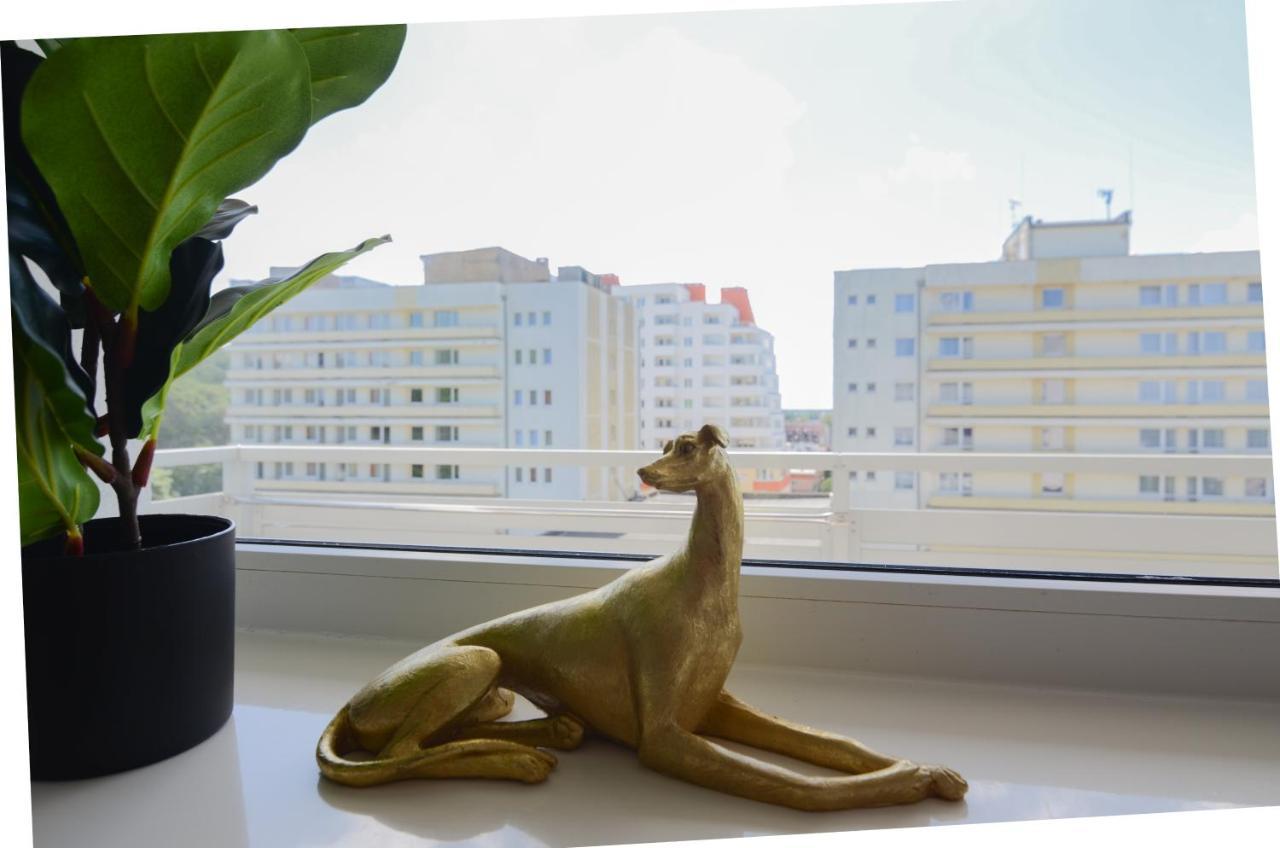 Holiday Home Slavia New 510 Z Widokiem Na Morze ミエンジズドロイェ エクステリア 写真